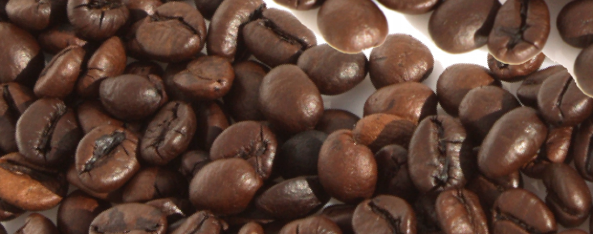 ITD participa da 3ª reunião da Aliança para um Café Mais Justo