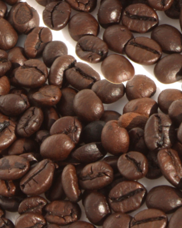 ITD participa da 3ª reunião da Aliança para um Café Mais Justo
